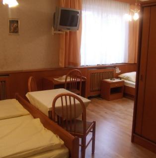 Hotel-Garni Martinek - Baden - 9