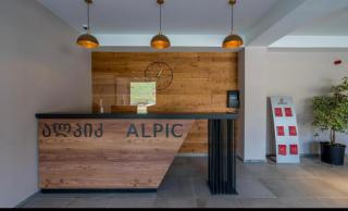 Gudauri Alpic - Goedaoeri - 5