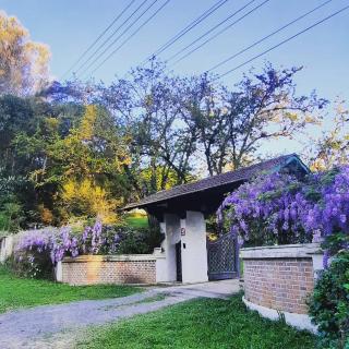 Rancho Campestre CDG - Rio Negrinho - 6