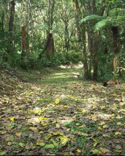 Rancho Campestre CDG - Rio Negrinho - 4