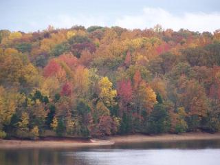 Lakefront: Dock, Hot Tub, Fire Pit & Home Theater - Winchester - 3