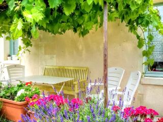 Location saisonnière: Gîte de charme avec jardin privé, proche des châteaux de la Loire et de la nature - FR-1-381-200 - Mazières-de-Touraine - 6