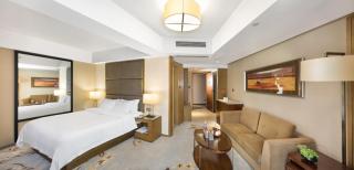 The LA Hotel 新世界伟瑞酒店 - Shenzhen - 6