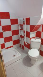 Camping Aviator Busteni, camere - Buşteni - 9