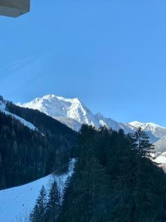 Natur Zeit - Alpine Garden Apartments - Mayrhofen - 9