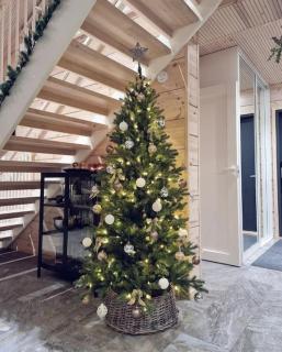 Levin Villa Aurora A - 6