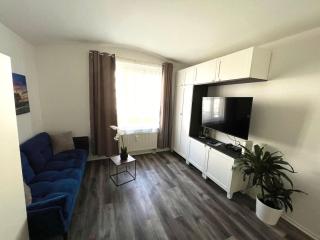 40 qm Appartment Parkplatz, Balkon,Netflix, Prime - 9