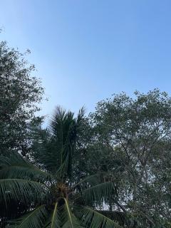AVVAIRAM SERVICE APARTMENT G8 - Chennai - 7