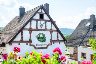 Hotel Landgasthof Oberschnorrhof - Dammbach - 8