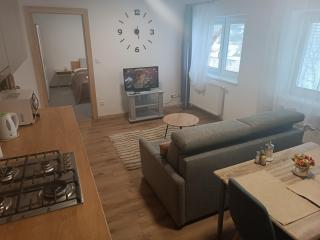 Apartmány Vila Juraj - Trenčianske Teplice - 2