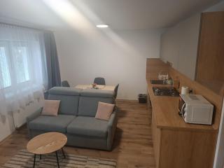 Apartmány Vila Juraj - Trenčianske Teplice - 1