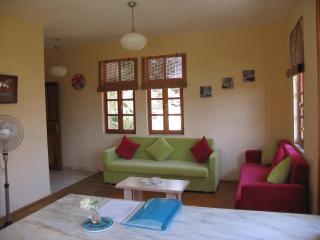 Pasha Apart Hotel - Kalkan - 1