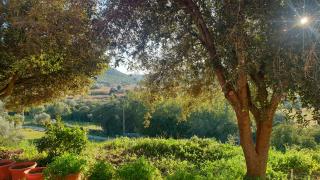 casa vacanze sa perda scritta - 8
