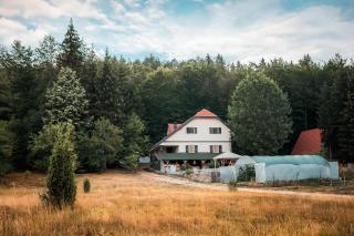 Taramazon - Bajina Bašta - 6
