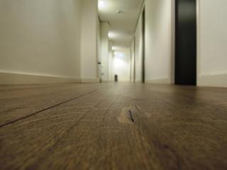 3BE Backpackers Bed & Breakfast Eindhoven - Eindhoven - 6