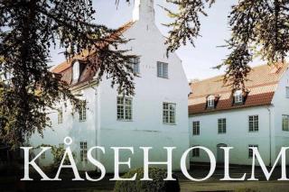 Castle Apartment in Österlen - The Thott Suite - 6