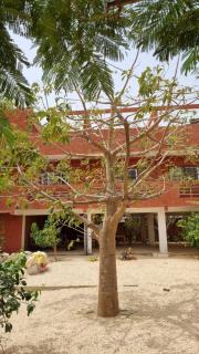 Chambres vue imprenable - 1