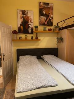 Jungle Story Apartment by Millenaris Park with Free Parking - 9