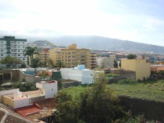 Hotel Tejuma - Puerto de la Cruz - 7