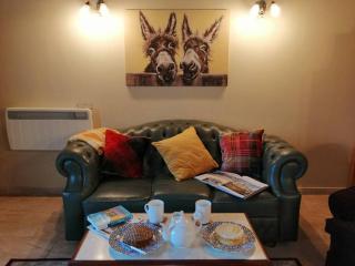 Lovely Stone Village cottage in Snowdonia - 6