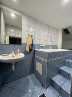 Francis Apartment I- Spa Center Karlovy Vary - 1