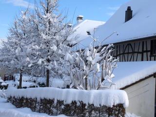 Bed & Breakfast Gaetzi - Windlach - 3