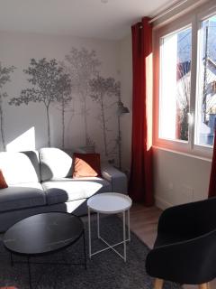 T3 neuf 65m2 5 personnes avec jardin au calme, ménage inclus, local vélo - 0