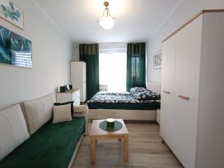 Szmaragdowy apartament przy ulicy Opolskiej - Tarnowskie Góry - 3