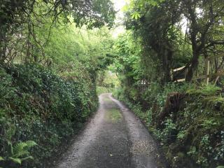 Higher Trenear Farm B&B - Helston - 2
