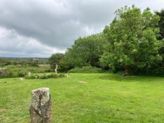 Higher Trenear Farm B&B - Helston - 4
