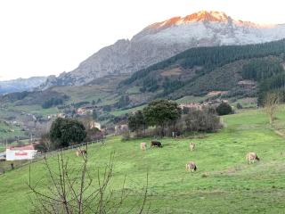 "CHALET A ESTRENAR" MIRADOR DE LA VENTOSA-Potes - Ojedo - 7