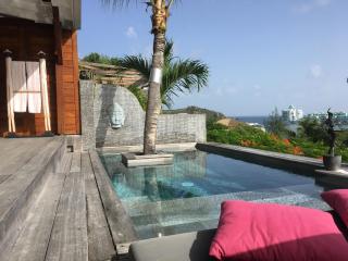 HAPPY COTTAGE WITH PRIVATE POOL - Saint Martin - 9