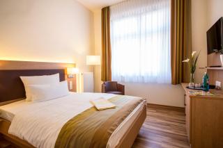 Hotel & Restaurant Goldener Pflug - Ludwigsburg - 7