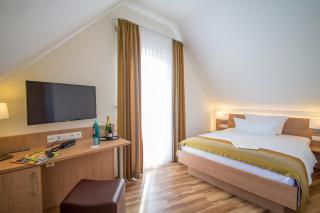 Hotel & Restaurant Goldener Pflug - Ludwigsburg - 6