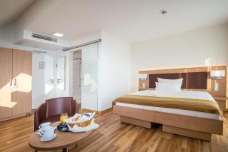 Hotel & Restaurant Goldener Pflug - Ludwigsburg - 5