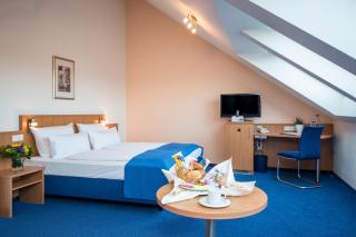 Hotel & Restaurant Goldener Pflug - Ludwigsburg - 3
