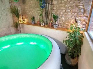 Maison avec jardin, Spa privatif à proximité de Beauval et Valençay - FR-1-591-345 - Val-Fouzon - 9