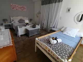 Maison avec jardin, Spa privatif à proximité de Beauval et Valençay - FR-1-591-345 - 1