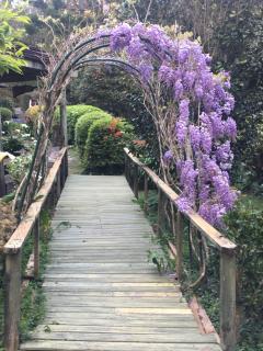 English Gardens - Forest Spa Suite - 7