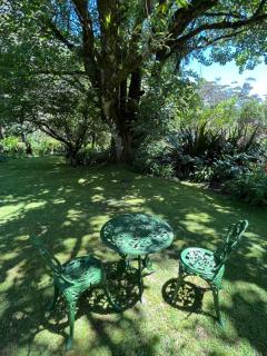 English Gardens - Garden Retreat - Springbrook - 5