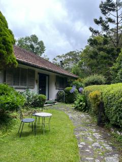 English Gardens - Garden Retreat - Springbrook - 8