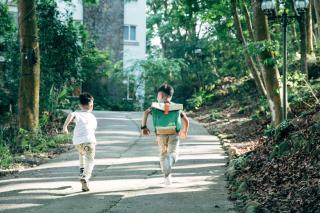 Reindeer Miaoli Green Wave - Sanyi - 5