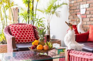 Villa Lollie Seminyak - Seminyak - 6