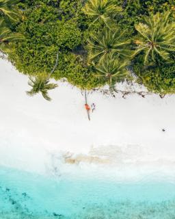 Blue Wave Hotel Maldives- Surf-fishing and beach -Free domestic transport when booked fullboard for a week - 8