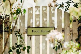 17pounds Country Estate & Aqua Wellness Retreat - 1