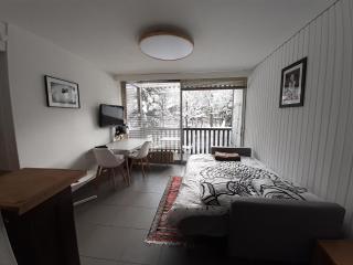 studio quartier calme centre ville vue mont Blanc - Chamonix-Mont-Blanc - 4