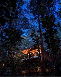 Coffee Acres Resort - Kalpetta - 0