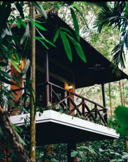 Coffee Acres Resort - Kalpetta - 5