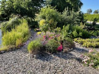 Reethaus Vilmnitz - Ferienwohnung Vilm - Vilmnitz - 2