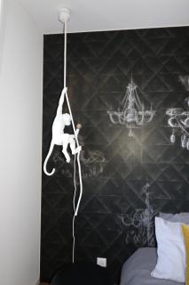 Très bel appartement T3 centre ville, commerces et gare - Rambouillet - 5